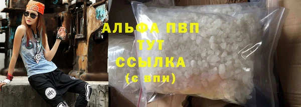 индика Новокубанск