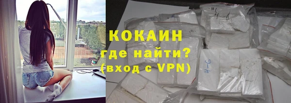 стаф Новозыбков