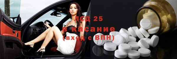 прущие грибы Сафоново