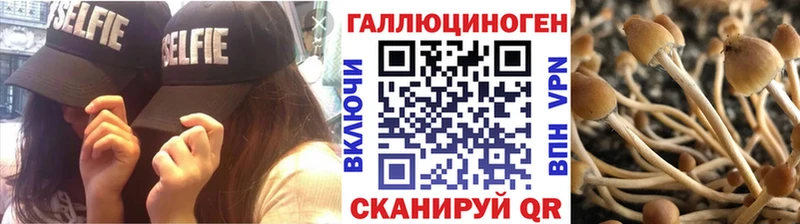 Галлюциногенные грибы Cubensis  даркнет сайт  Арамиль 